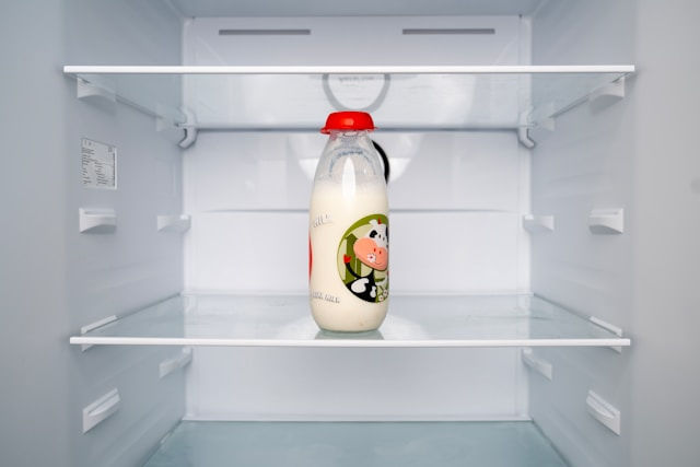 간단한 저녁메뉴