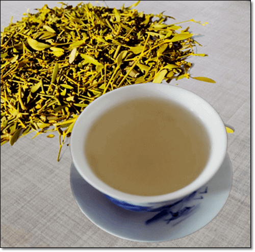 미슬토 겨우살이 차