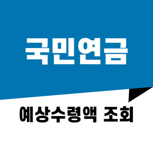국민연금 예상수령액