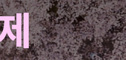Tile 8