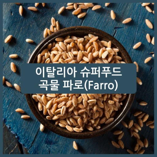 파로로 밥짓기