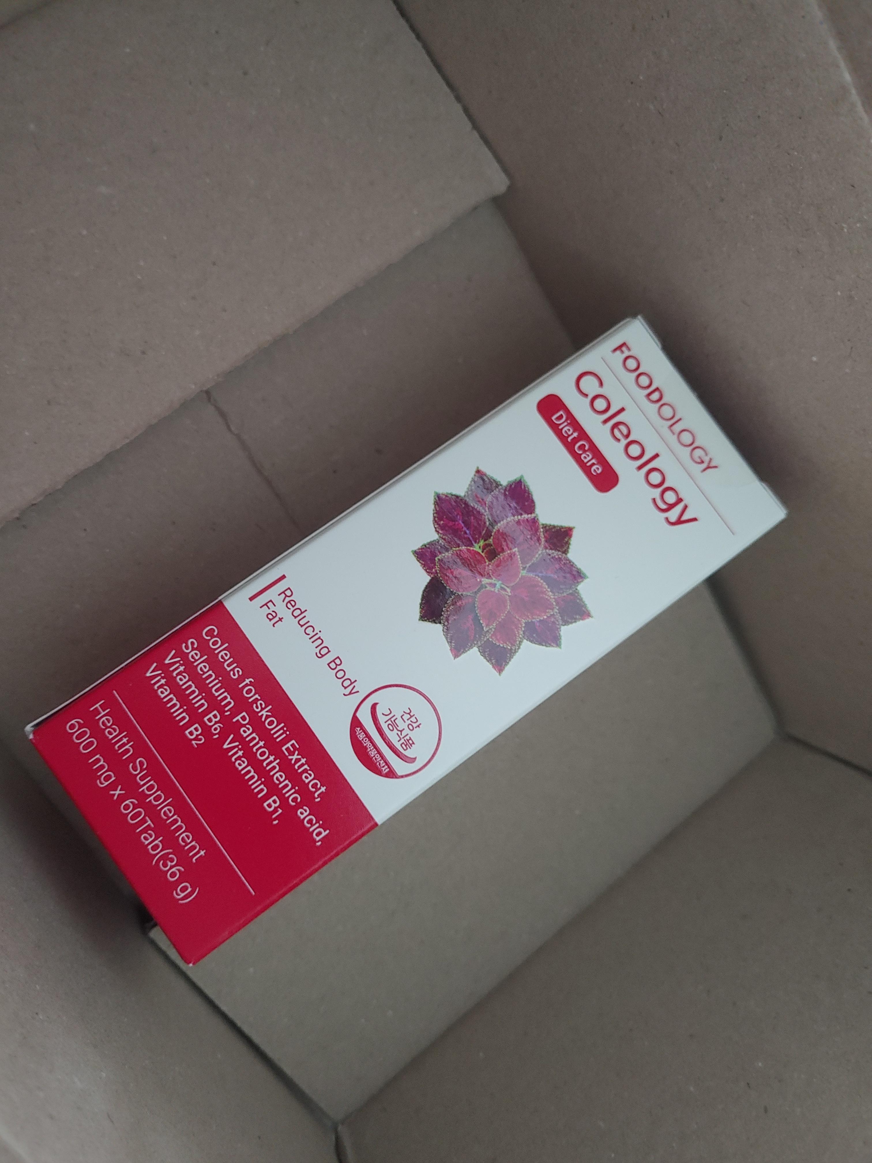 다이어트 보조제 푸드올로지 콜레올로지