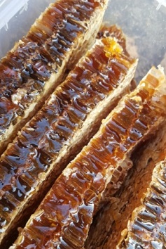 한국기행토종꿀