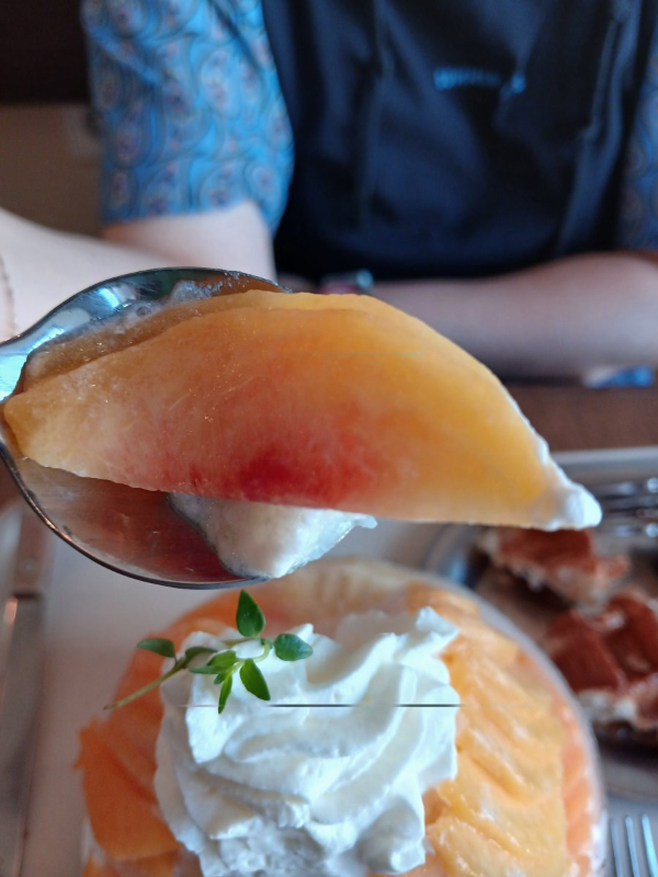 복숭아빙수 황도