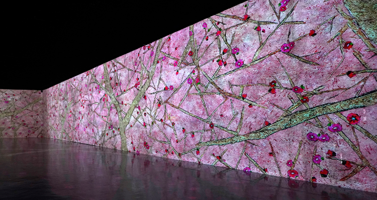 빛의 벙커 제주