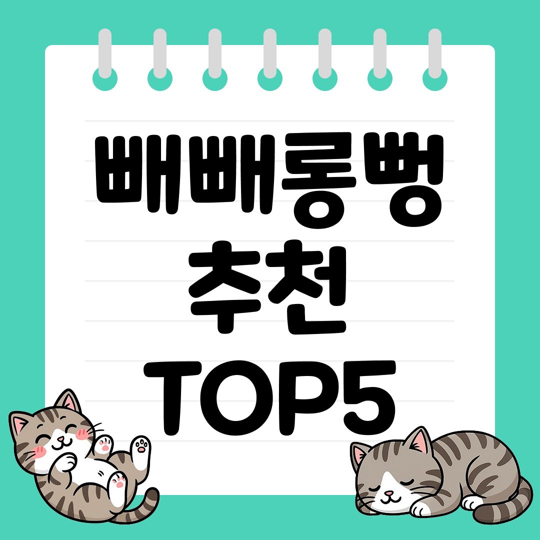 빼빼롱뻥 추천 순위 TOP5