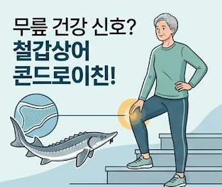 철갑상어-콘드로이친-6형-효능-리포좀-흡수-추천-제품