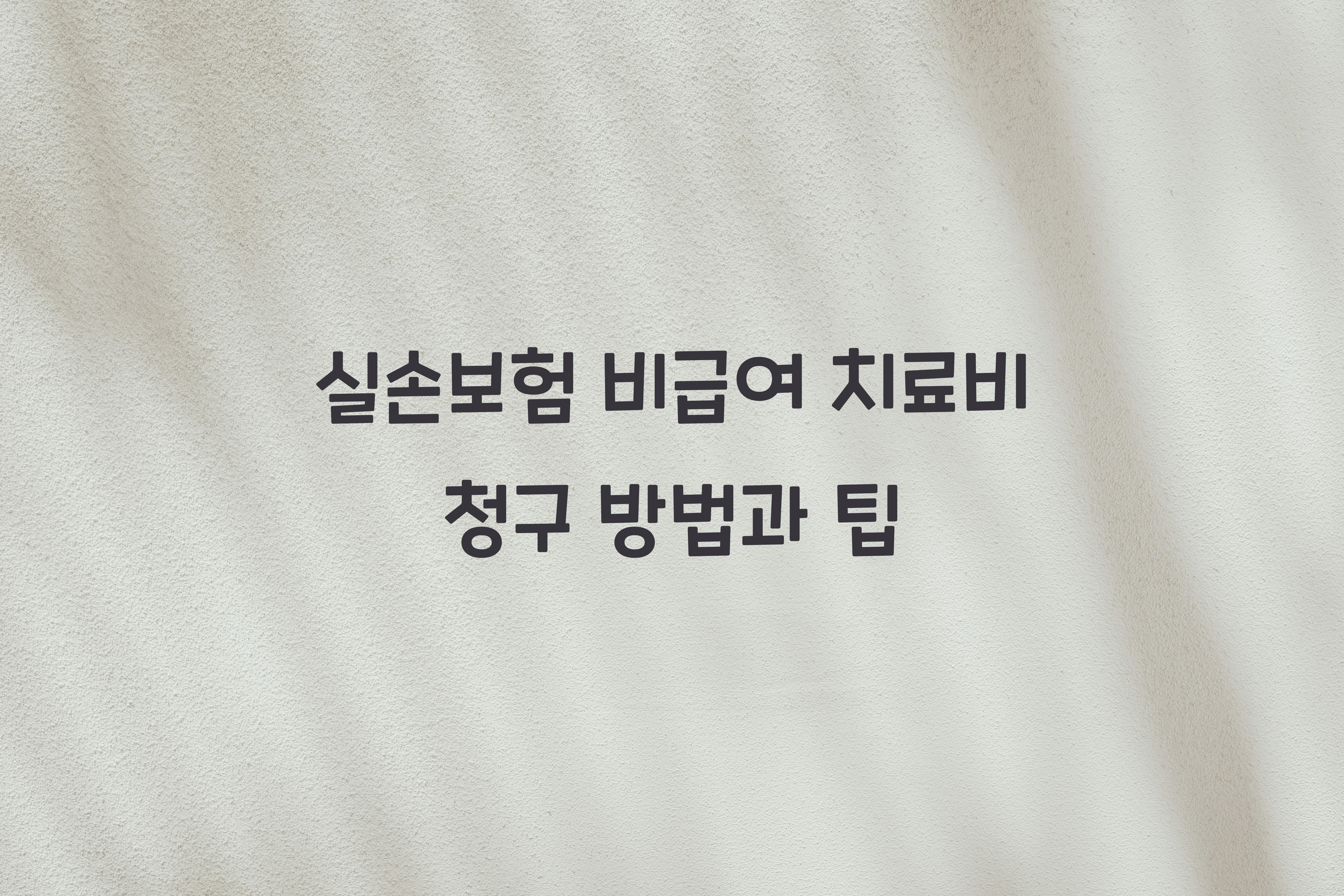 실손보험 비급여 치료비 청구