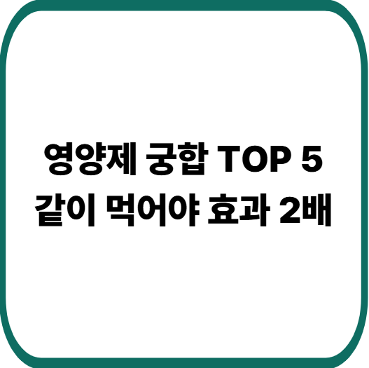 같이 먹으면 효과 좋은 영양제 조합 TOP 5 : 흡수율 높이는 건강 조합