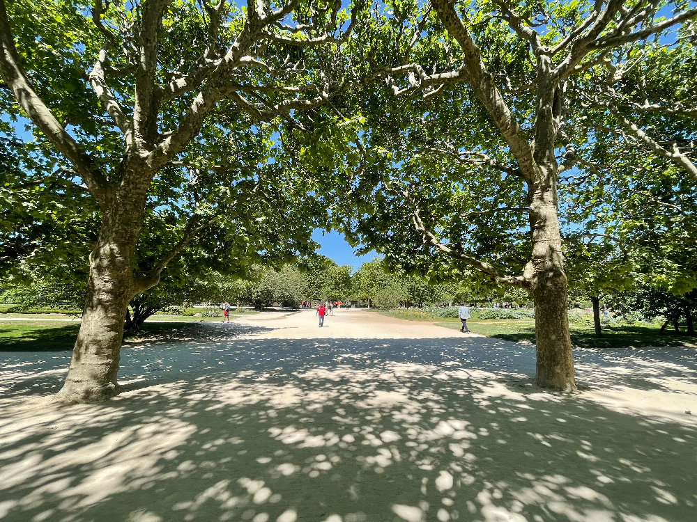 파리 식물원 : Jardin des Plantes