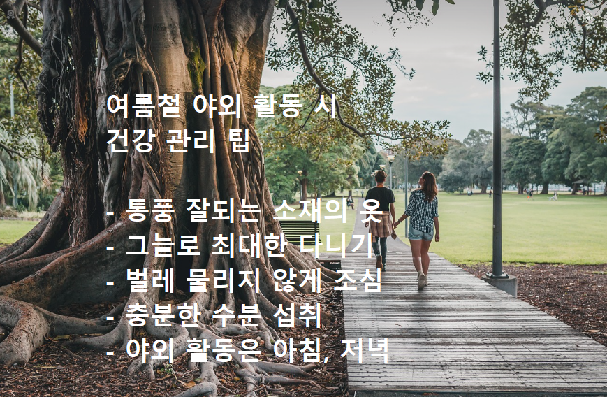 여름철 야외 활동 시 건강 관리 팁