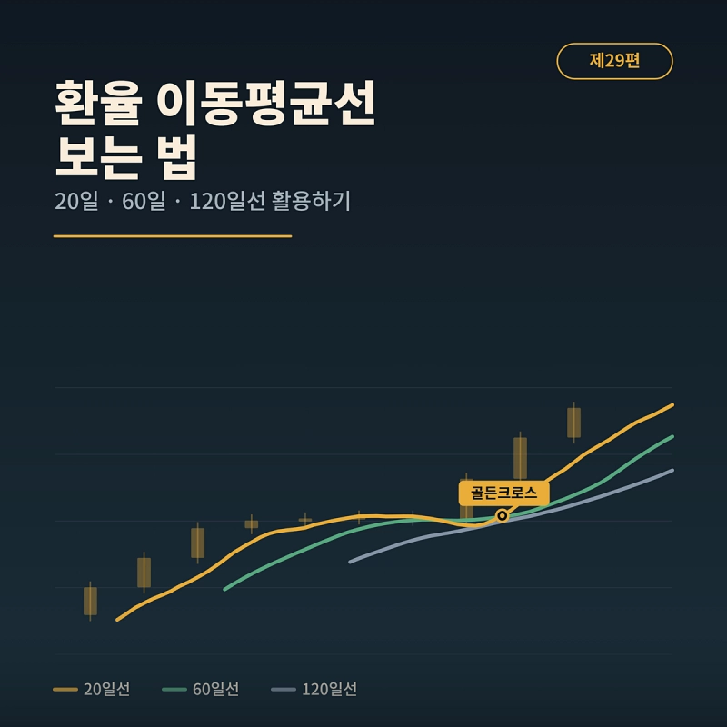 환율 이동평균선 보는 법
