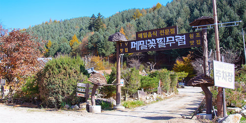 메밀꽃필무렵