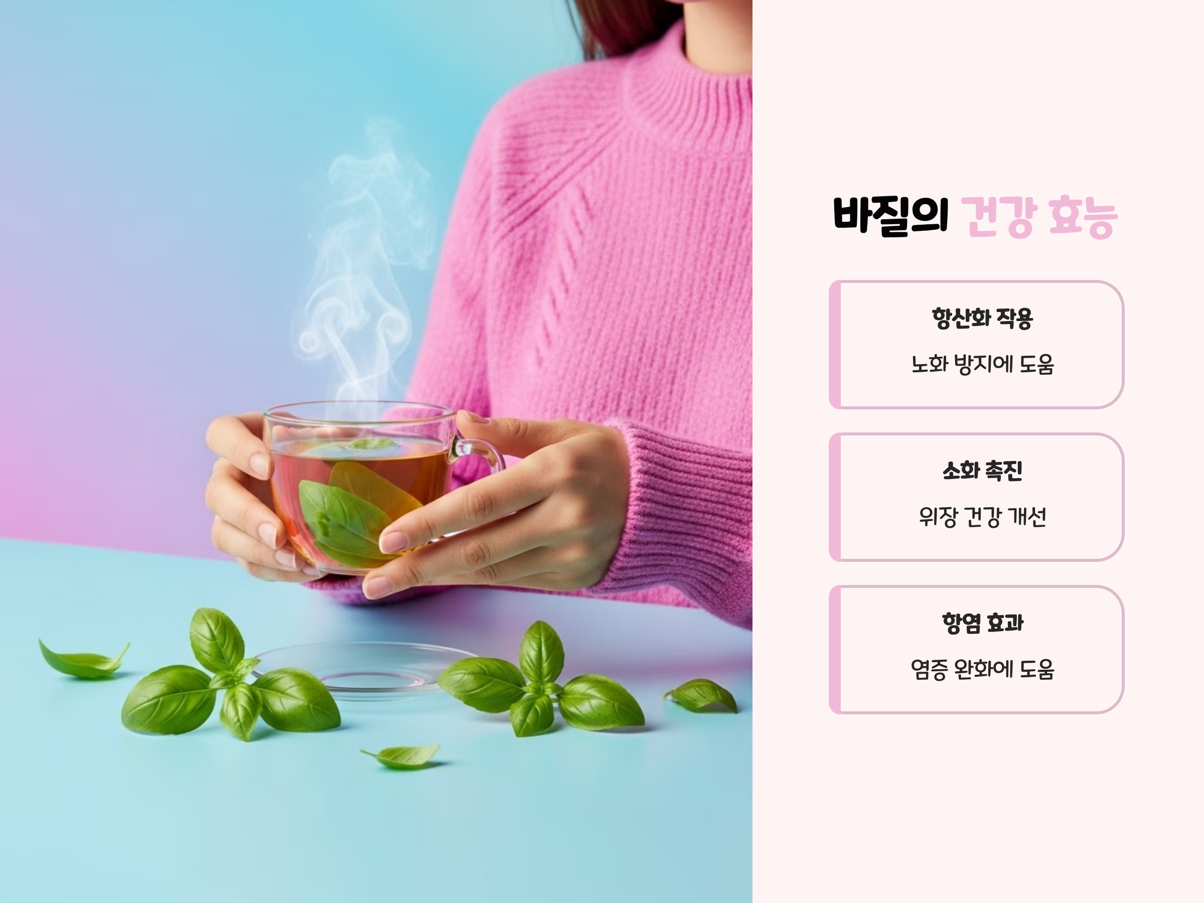 바질이 우리 몸에 좋은 이유