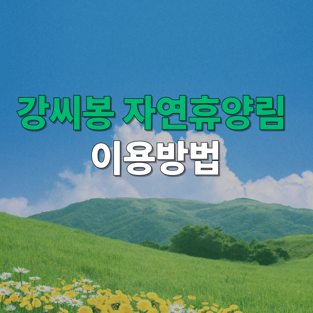 강씨봉자연휴양림 예약 방법 및 공식 사이트
