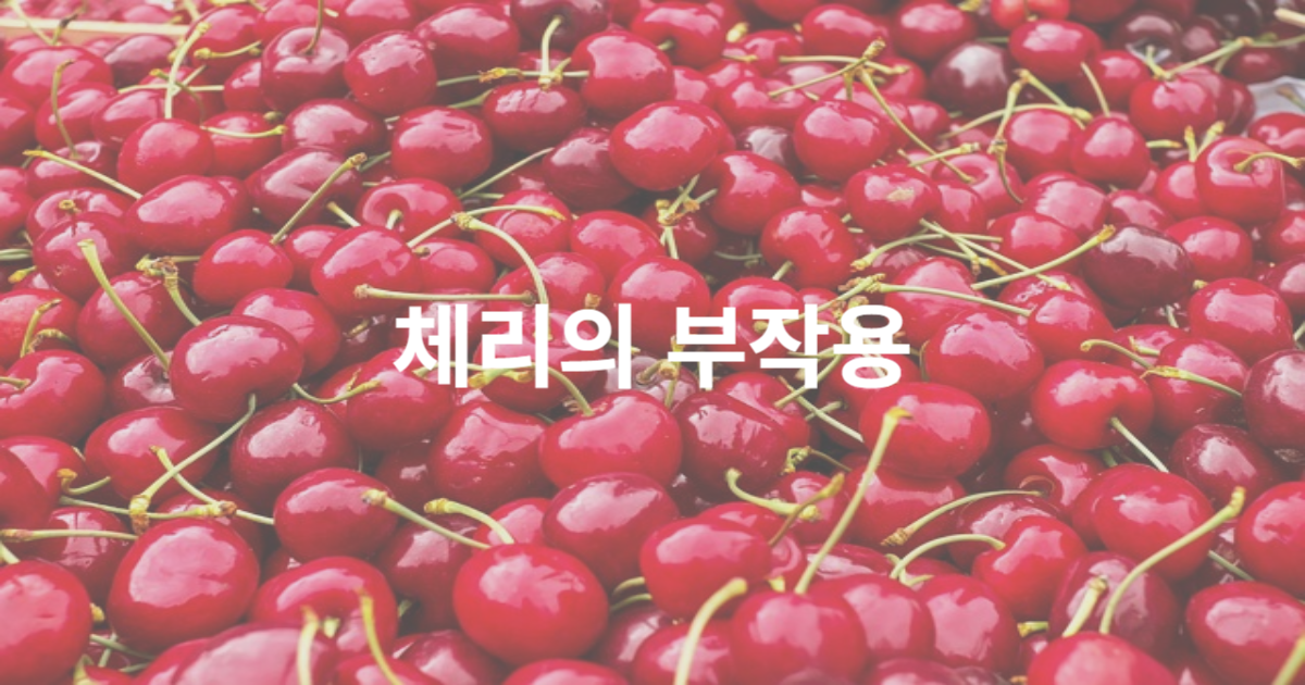 제목을 입력해주세요_-001 - 2023-07-30T101159.509.png