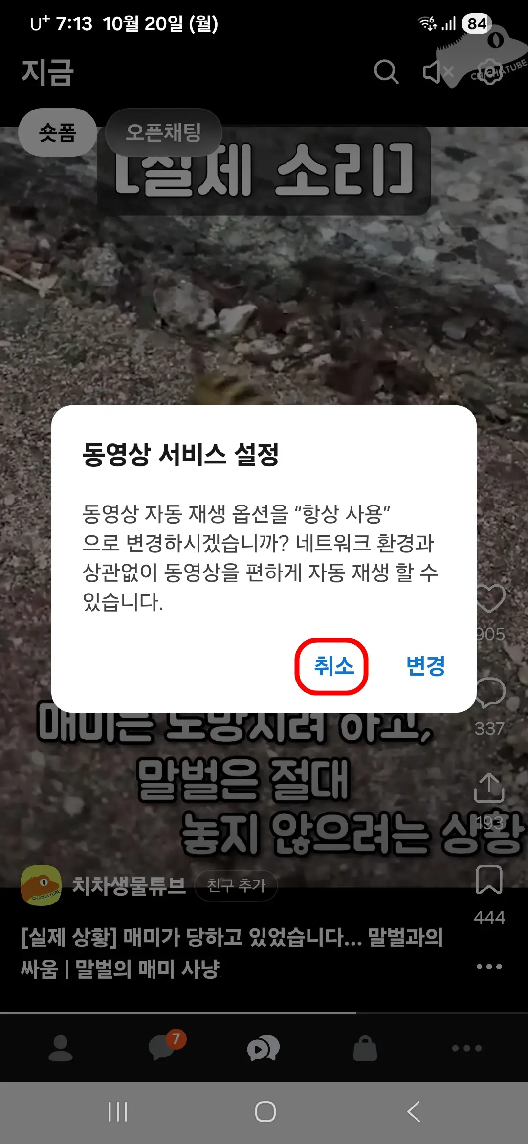 자동재생-취소