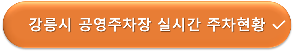 강릉시 공영주차장 실시간 주차현황 안내