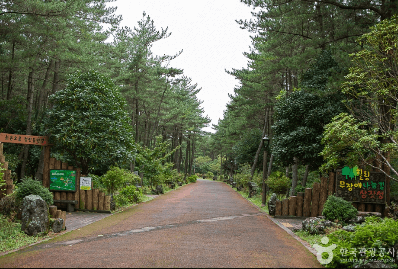 붉은오름 자연휴양림