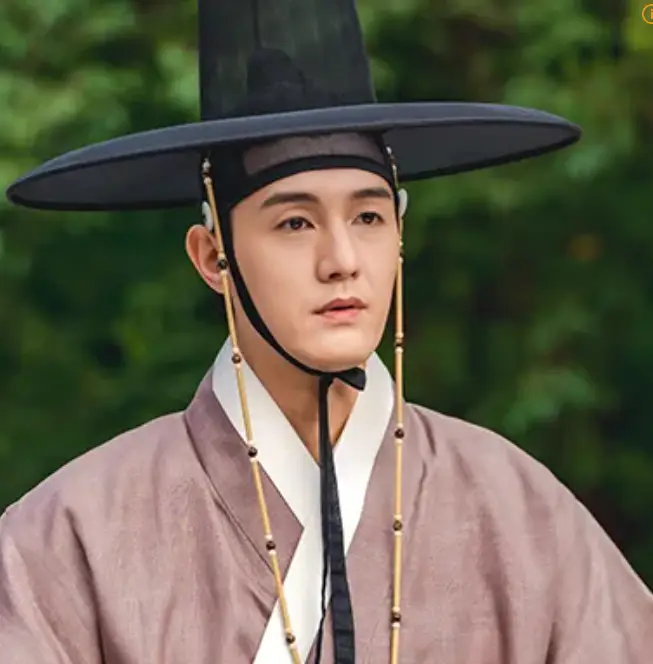 밤에 피는 꽃-
보라색 한복 검은 갓을 쓰고 앞을 보고있는 박윤학