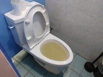 변기가-막혀-몰이-내려가지-않고-차있는-모습