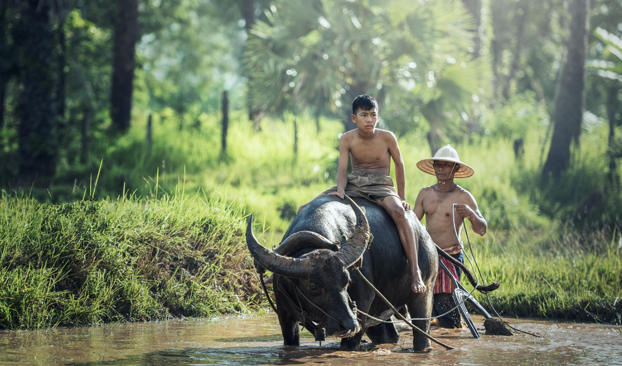 기존 농업을 혁신하는 스마트팜