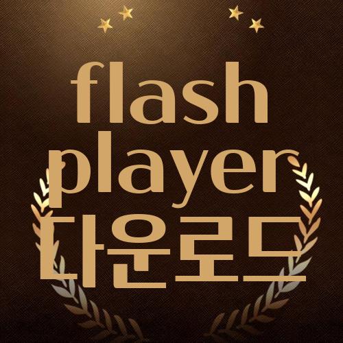 flash player 다운로드