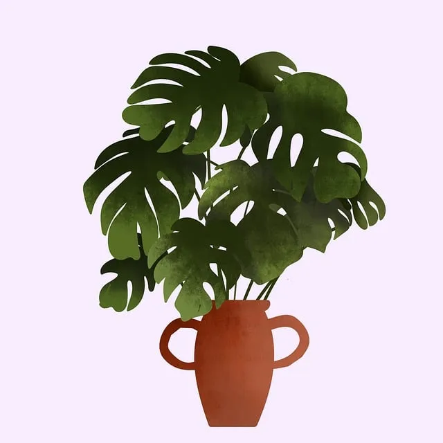 화분 귀가 후 점검 흙수분상태 잎건강확인 병해충 빠른대처 요령_3