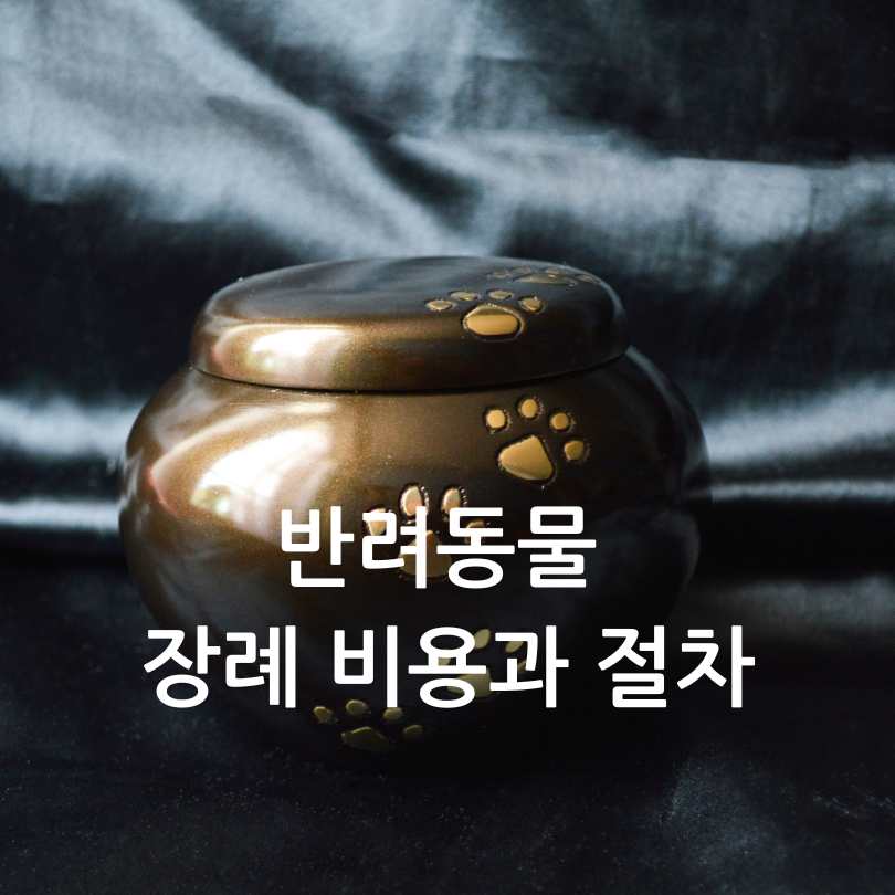 반려동물 장례비용과절차