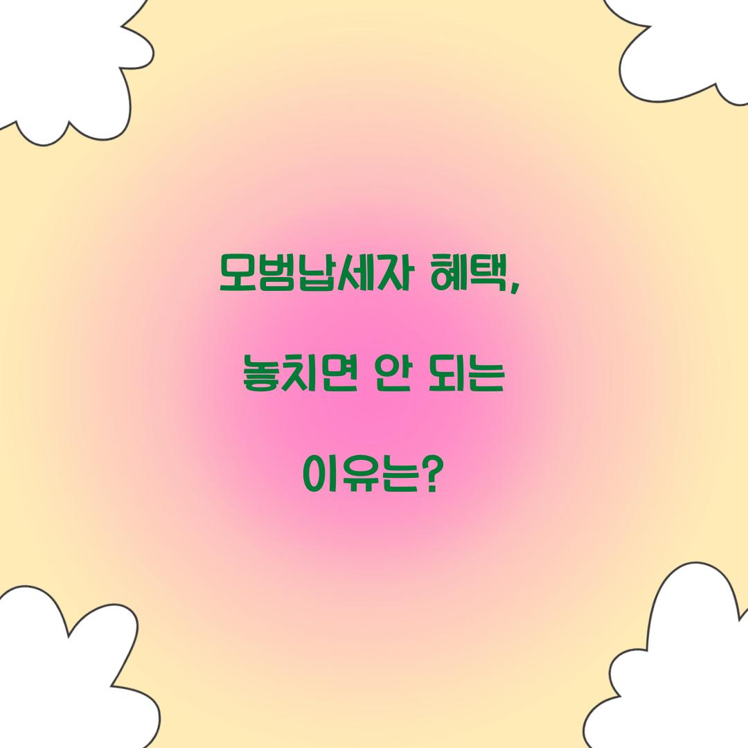 모범납세자 혜택