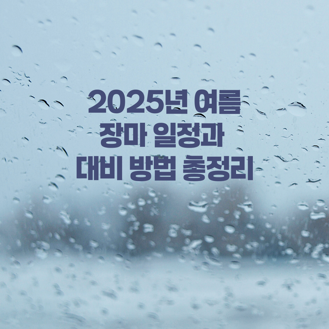 2025년 대한민국 여름 장마 일정과 대비 방법 총정리