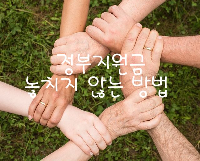 정부지원금 놓치지 않는 방법 관련 이미지