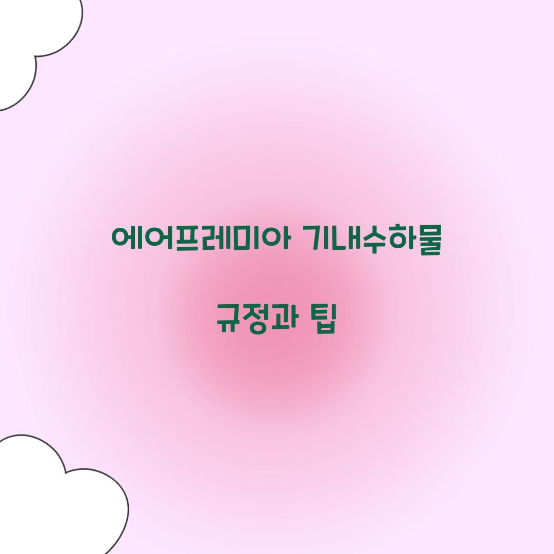 에어프레미아 기내수하물