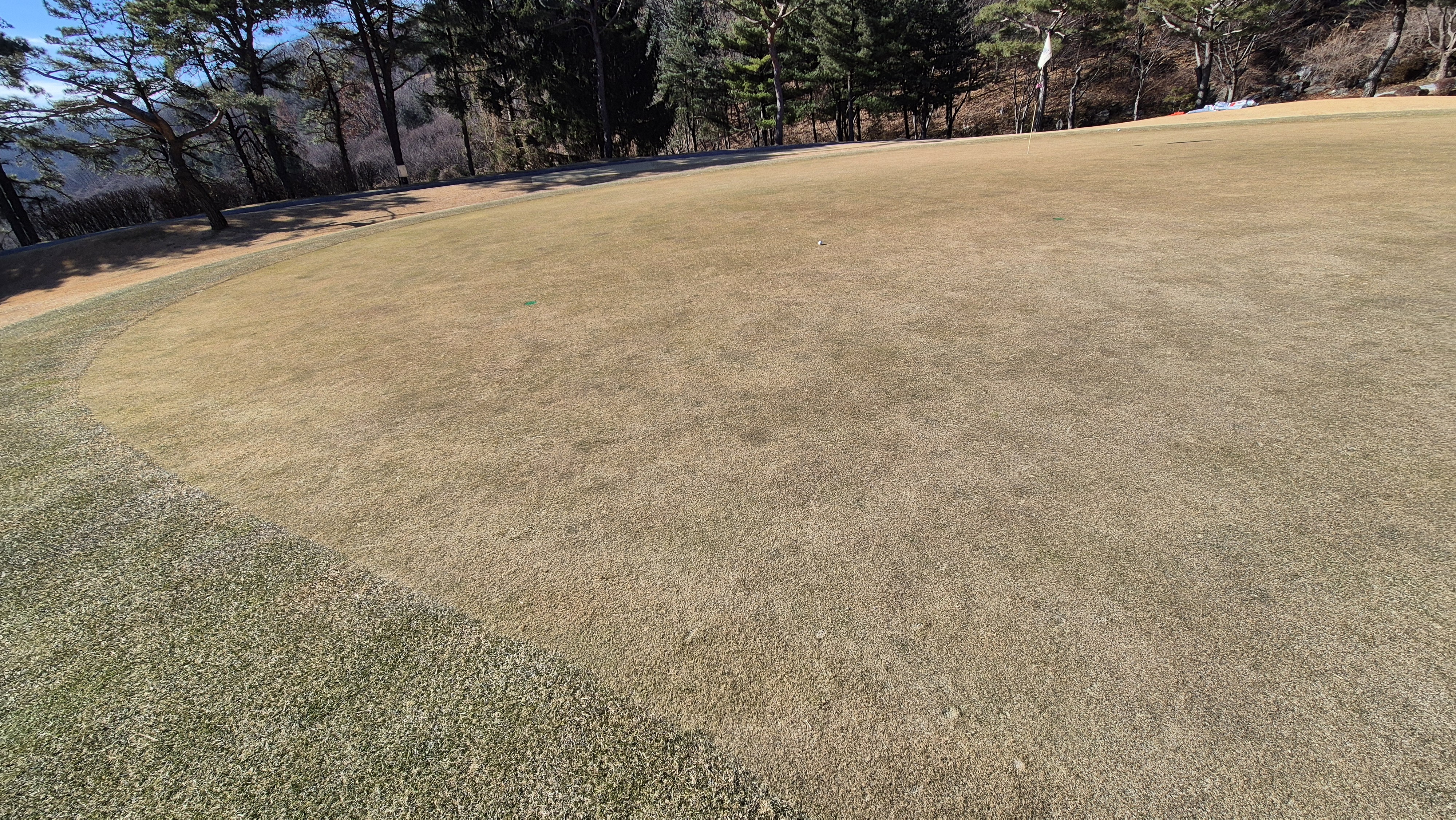 로제비앙gc 로제-비앙 코스 그린 관리 상태