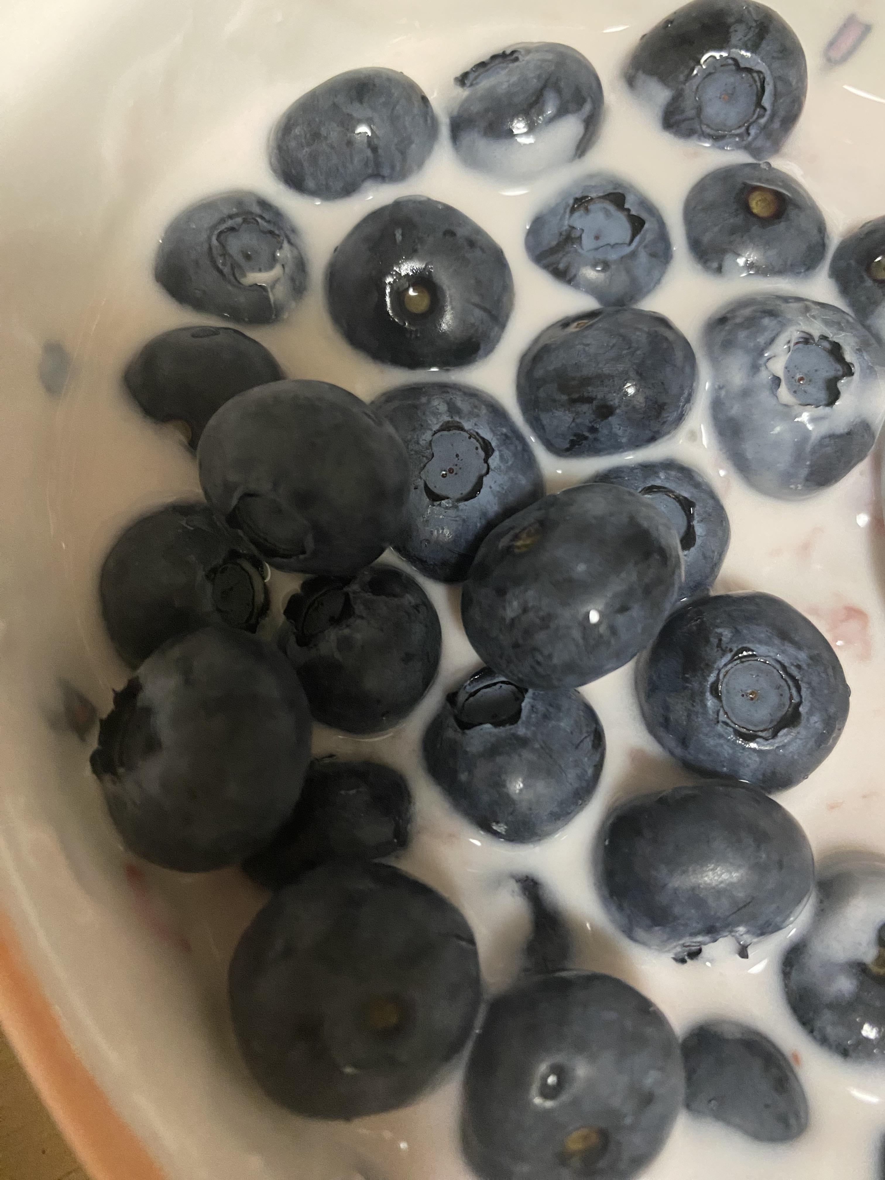 Alt 속성 문제 해결 설명 이미지