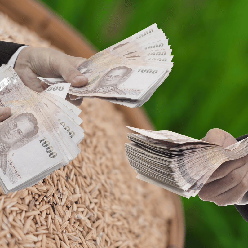 여신금융협회 카드포인트