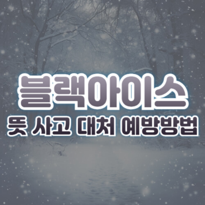 블랙아이스 대처법

블랙아이스 사고 원인

겨울철 안전운전

도로 결빙 예방

블랙아이스 발생 구간