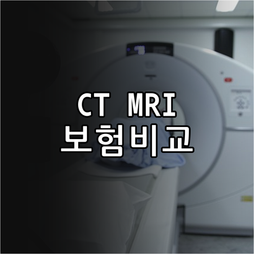 강아지 CT MRI 펫보험 보장 내용..