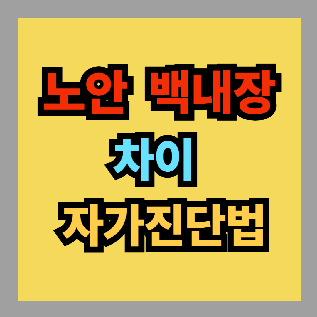 노안 백내장 차이