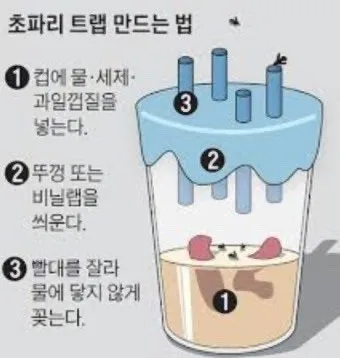 파리 퇴치 초파리 트랩 식초와 세제 과일 제거_35
