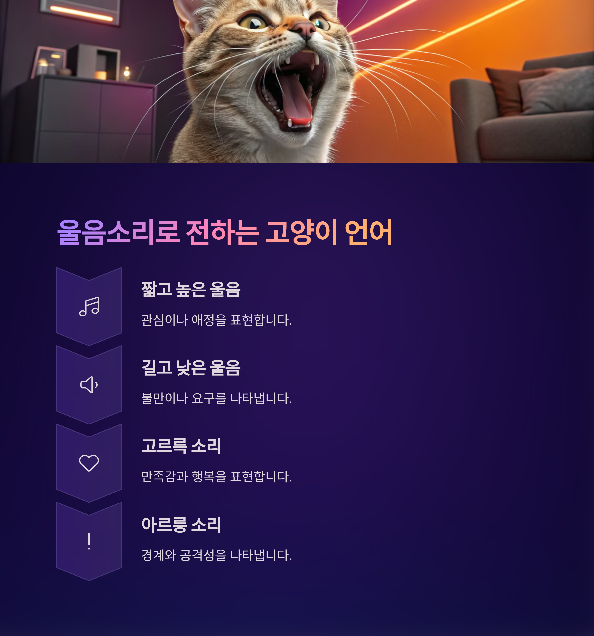 울음소리로 전하는 고양이 언어