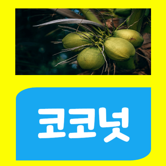 코코넛의-놀라운-건강상의-효능