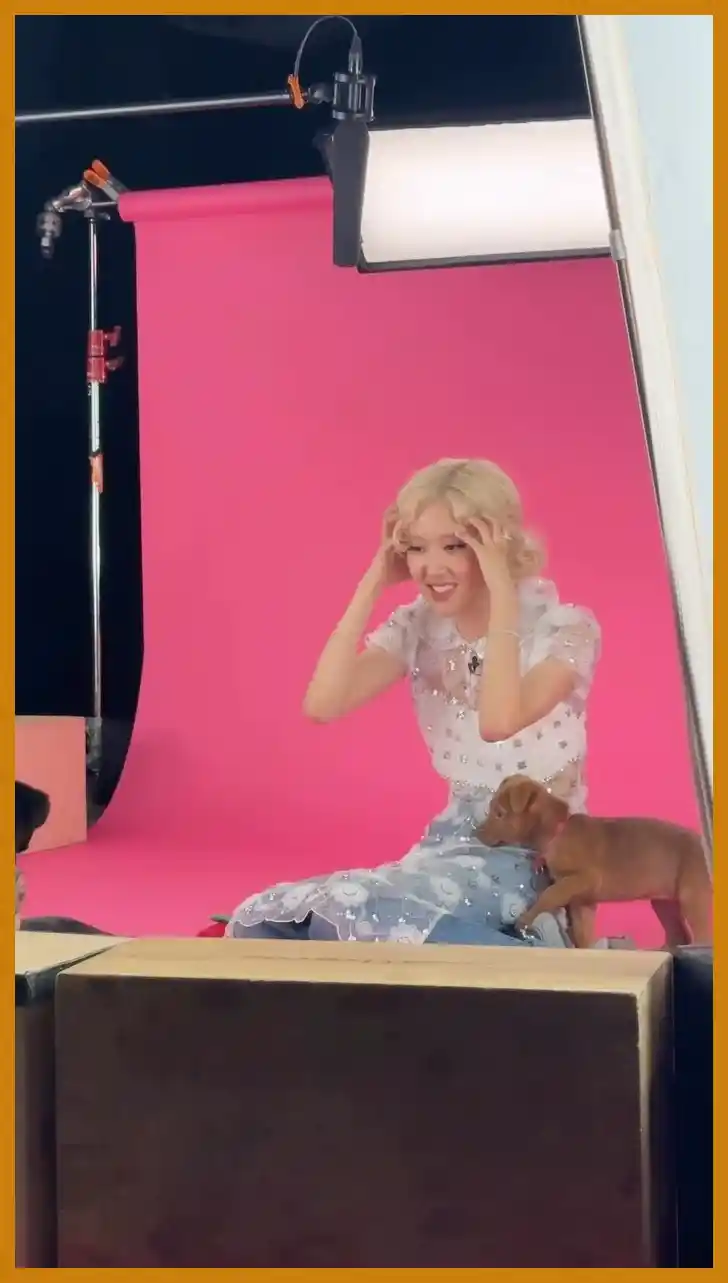 로제의 참여와 기여