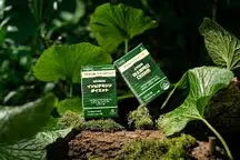 소우코우 이소비텍신 다이어트 내돈내산 솔직 후기