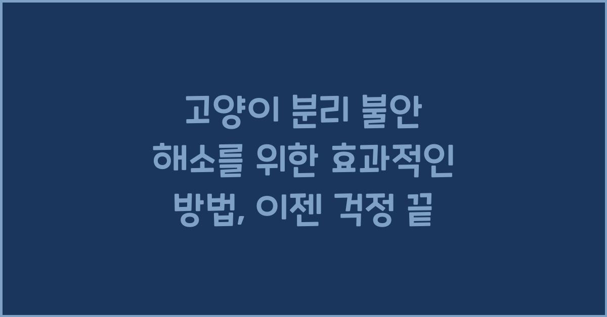 고양이 분리 불안 해소를 위한 효과적인 방법