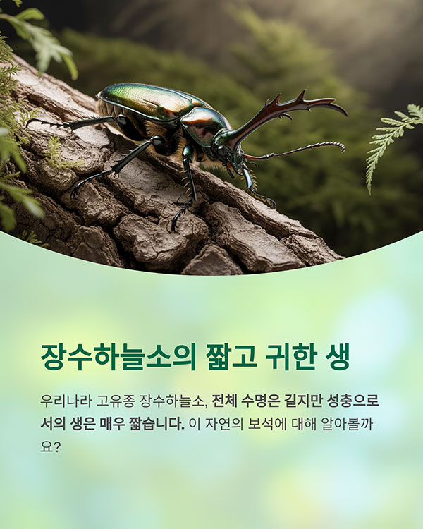 멸종 위기 속 짧고 귀한 생을 사는 자연의 보석