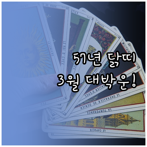 1957년생 닭띠 3월 운세 분석 문..