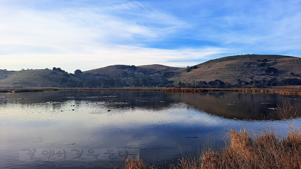 Coyote Hills Regional Park