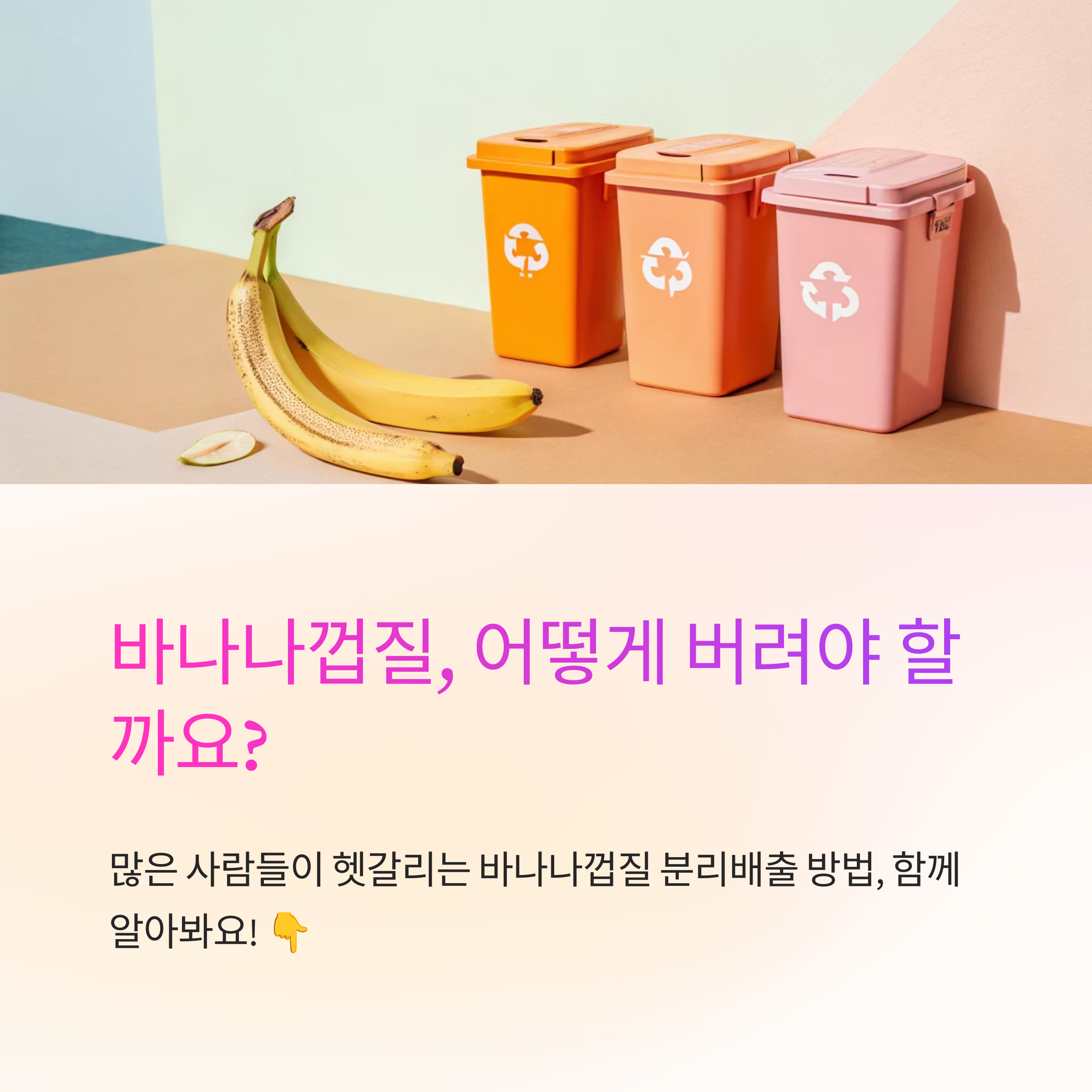 바나나껍질 음식물쓰레기 분리방법