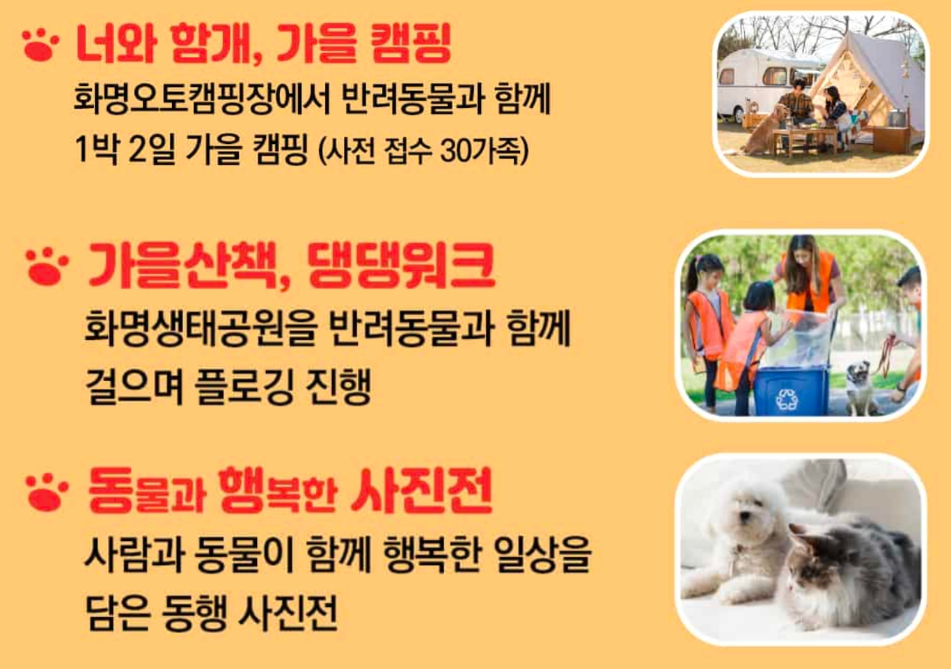 2024 위드펫스타 반려견 동반 활동